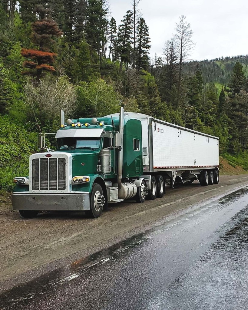 Green semi truck with white trailer parked on a wet roadside